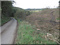 Recently cleared forest in YO18 8EU