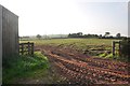 Mid Devon : Grassy Field in EX16 9RF