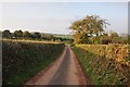 Mid Devon : Pilemoor Lane in EX16 9RF