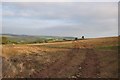 Mid Devon : Field & Tractor Tracks in EX16 9RF