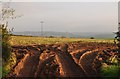 Mid Devon : Muddy Tracks & Field in EX16 9RF