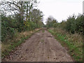 Red Road, near Gautby in Minting