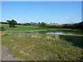 New (but shallow) pool in the fields south of Broome Farm in SY6 7LD