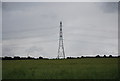 Pylon in the Mardyke Valley in RM16 3NL
