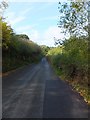 Tick Lane leading to Doddiscombsleigh in EX6 7PX