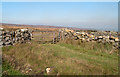 Bridleway with dry stone walls reaching moorland in YO22 5EZ