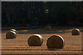 Straw bales, Lethendy in PH2 6EQ