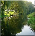 The River Kennet east of Ramsbury in SN8 2PP