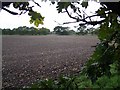 Field Near Grange Farm, Pelsall in WS9 9BG