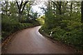 Mid Devon : Country Road in EX16 7RP