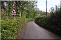 Mid Devon : Country Road in EX16 7RP