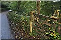 Mid Devon : Gate & Road in EX16 9PT