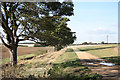 Track near North Rauceby in Cranwell, Leasingham & Wilsford Ward