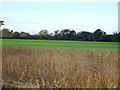 Farmland near the River Trent in NG23 5RB