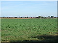 Farmland near Kelham in NG23 6BT