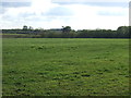 Farmland off the B6386 in NG22 8AW