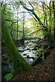 Bridge over Alyth Burn in Den o' Alyth in PH11 8JD