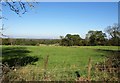 View near Willey Park Farm in CR3 6AJ