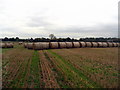 Field northeast of Egginton in Egginton
