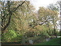 The north side of the churchyard, Treswell in DN22 0EL