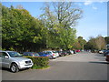 The Avenue Nursery - car park in GU34 5SU