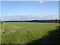 Field west of Tollard Royal overlooking Ashcombe Bottom in SP5 5QW