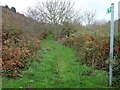 Footpath out of Llangrannog in SA44 6RL
