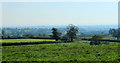2011 : A Mendip view from Crapnell Lane in BA5 3HG
