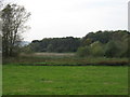 Denny Island, Chew Valley Lake in BS39 5TY