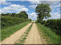 Bridleway to Bird's Pastures Farm in CB23 8BE