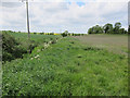 Small stream near Knapwell in Knapwell