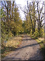 Bridleway and Entrance to Ash Lodge & Ashe Green Lodge in IP12 2RG