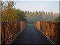 Foot and cycle bridge over River Exe in EX2 6FD