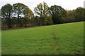 Footpath into Commander's Wood in HR8 2RF