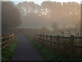 Path across Duck's Marsh in EX2 6FD