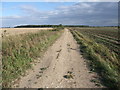 The Viking Way south of Bardney in LN3 5DN