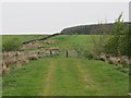 Track south of the plantation on Waterhead Common in Waterhead