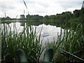 Fishing on Grey Mist Mere, Woolston, Warrington in WA4 1SY