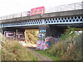 A38 bridge (with local tribal art) in NG17 1BX