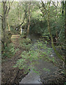 The Afon Cynffig in woodland just north of Kenfig Hill in CF33 6FH