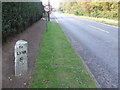Milepost in PE31 6DU