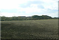 View towards Grange Plantation and Wolds Farm in Clipston