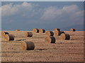 Bales near Bayfield Mains in IV19 1QW