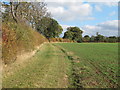 Footpath on field boundary in CM2 7TB