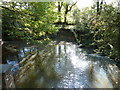 River Lox tributary from the footbridge in GU8 4UU