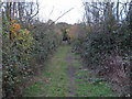 Footpath north of Woodham Road in CM3 6SA