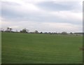 Farmland near West Rounton in DL6 2SF