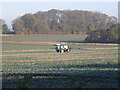 Crop spraying in Little Gidding