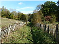 Bridleway east from Northbridge Chiddingfold in GU8 4UU