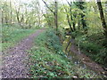 Bridleway and stream in The Grove woodland in GU8 4UU
